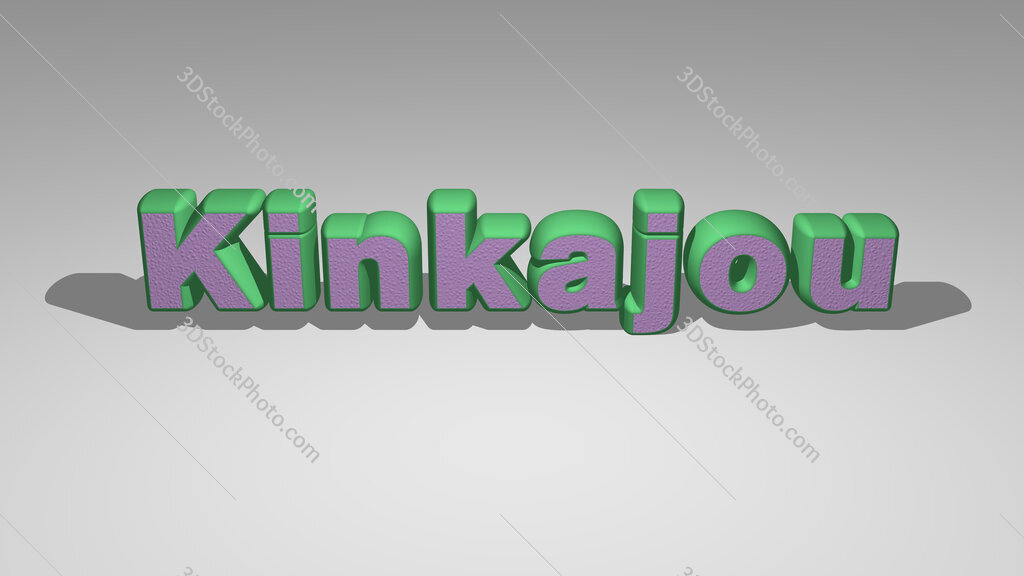 Kinkajou 