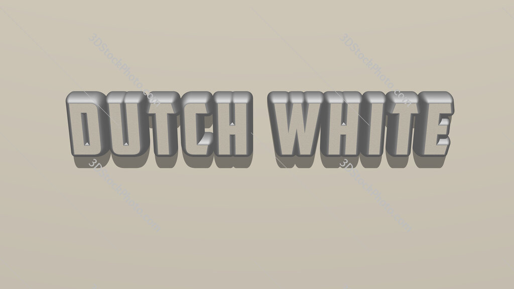 Dutch white 
