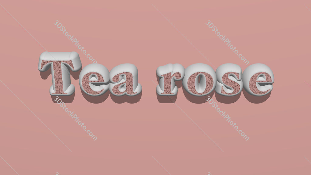 Tea rose 