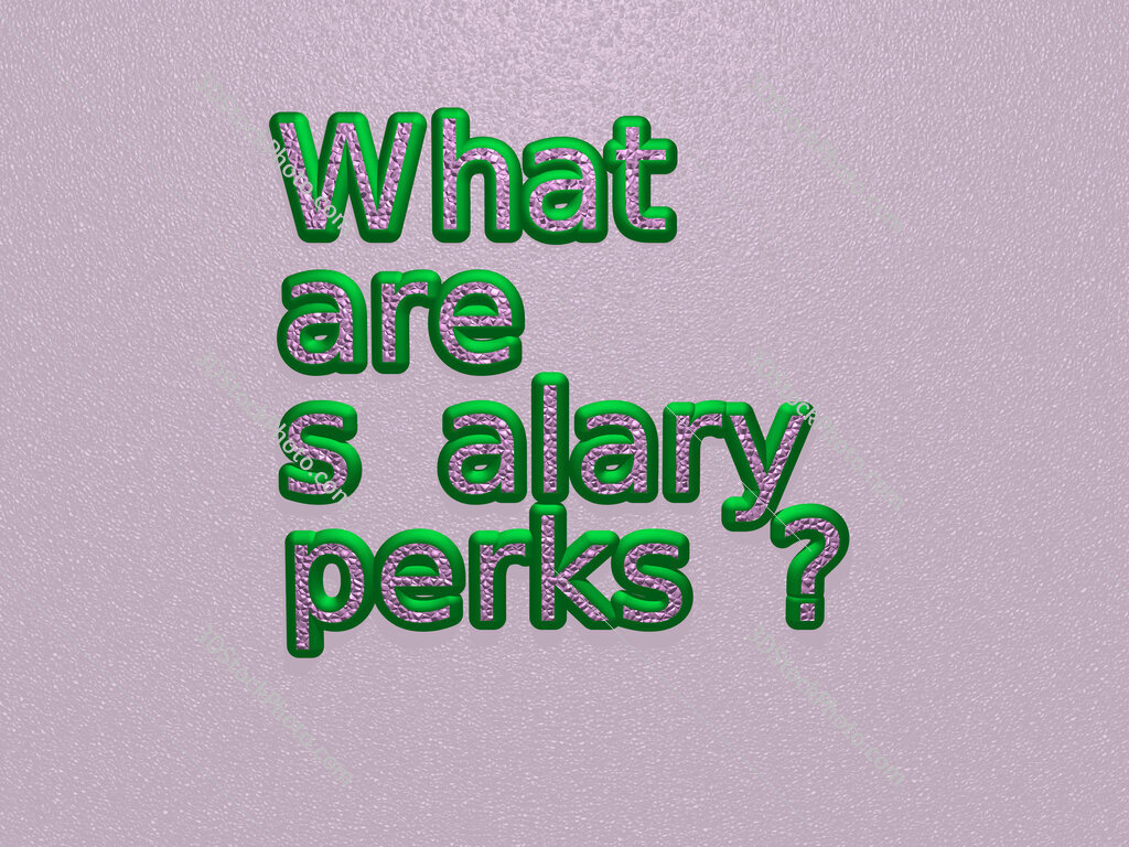 What are salary perks? 