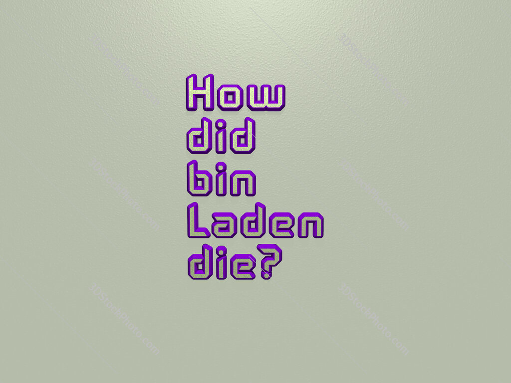 How did bin Laden die? 
