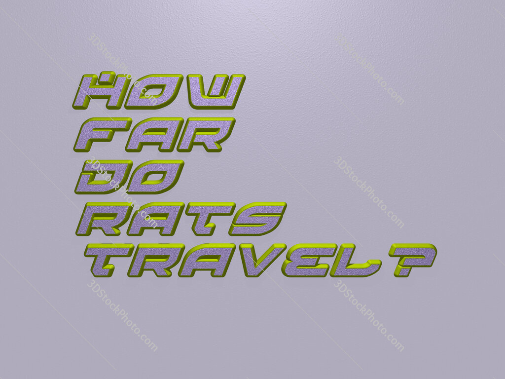 How far do rats travel? 