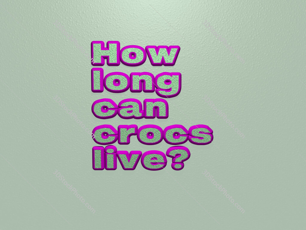 How long can crocs live? 