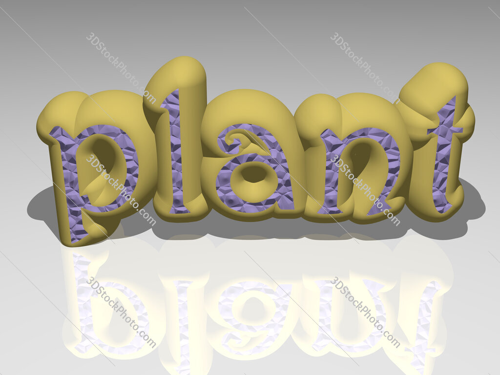 plant 