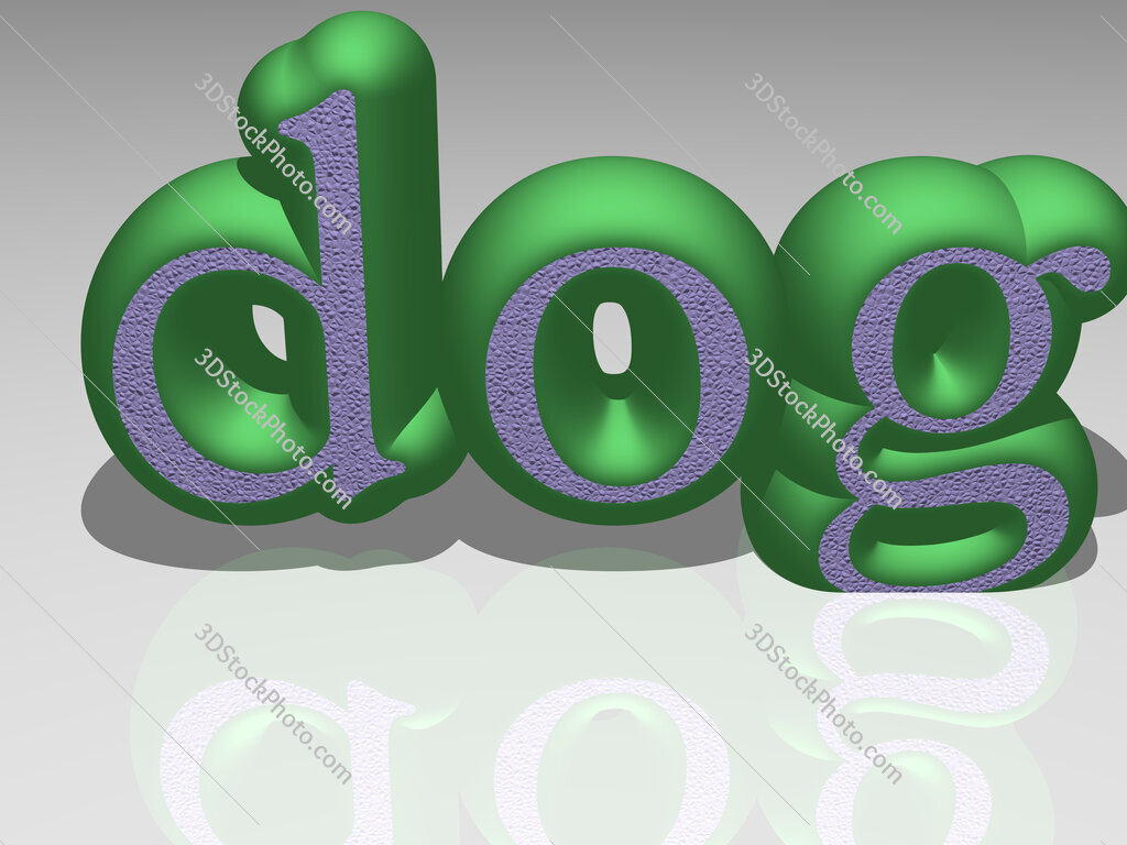 dog 