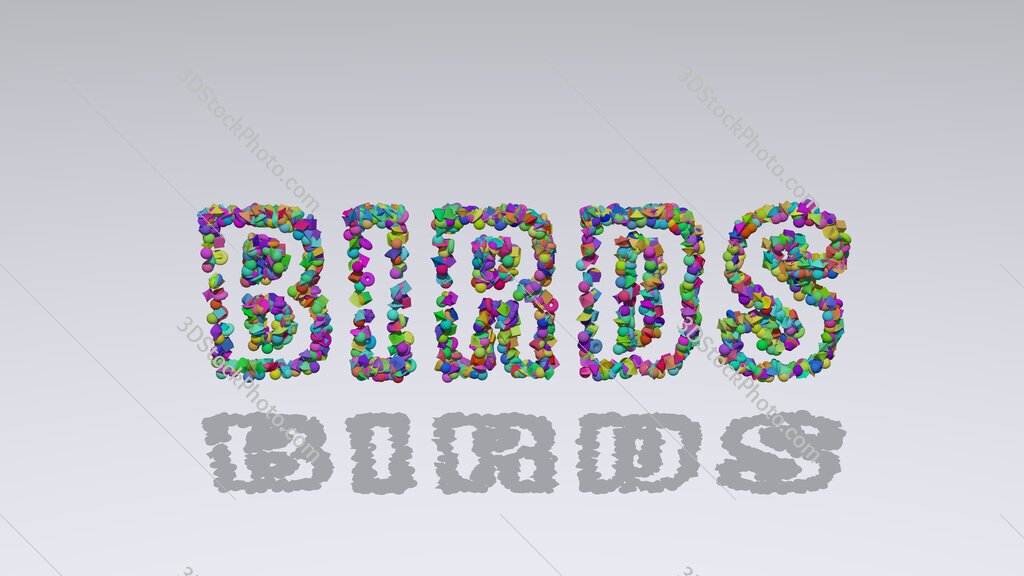birds 