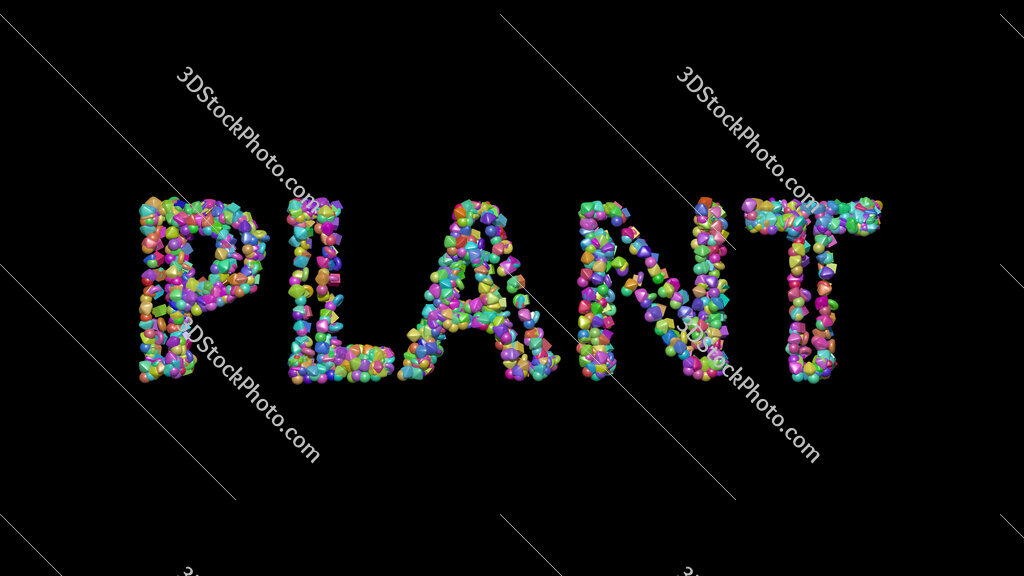 plant 
