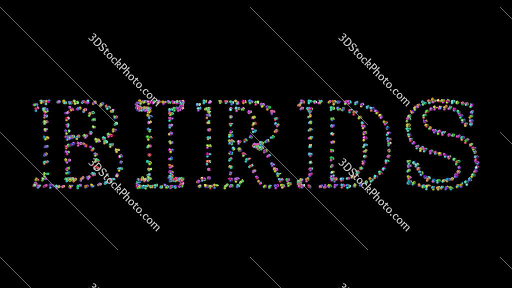 birds 
