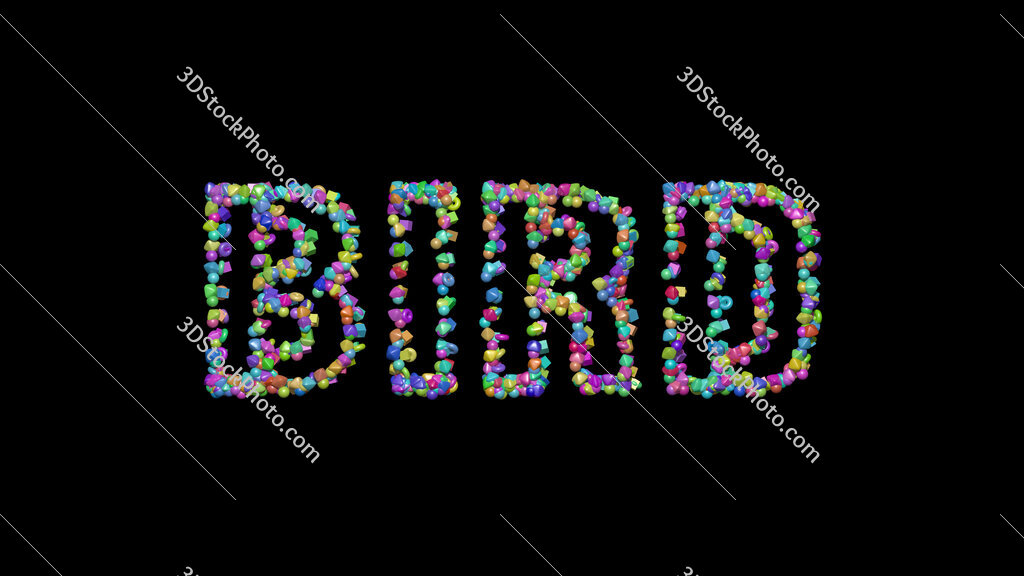 bird 