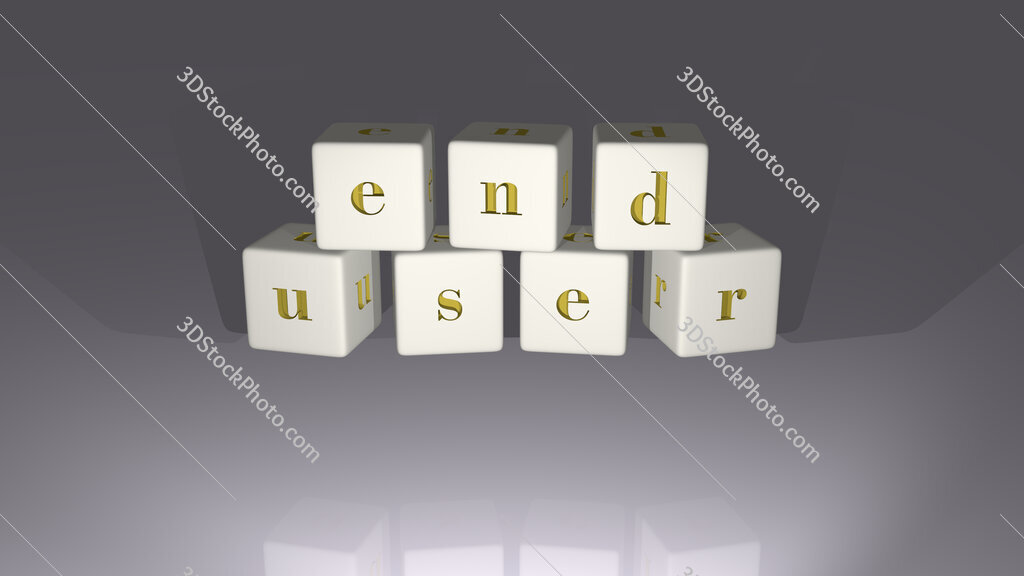 end user 