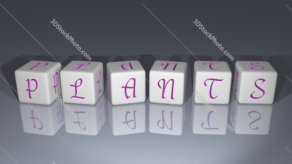 Plants 