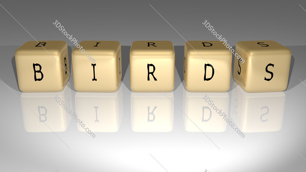 Birds text of cubic dice letters on the floor and 3D icon on the wall
