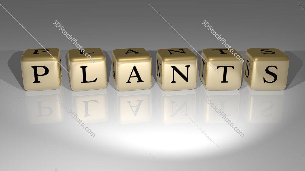 Plants text of cubic dice letters on the floor and 3D icon on the wall