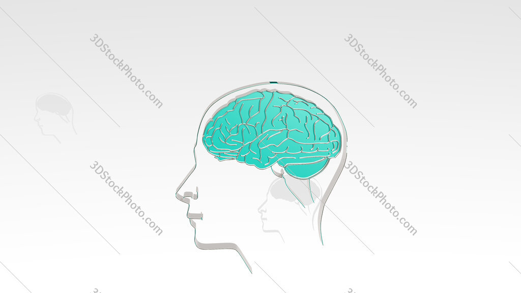 human head with brain 