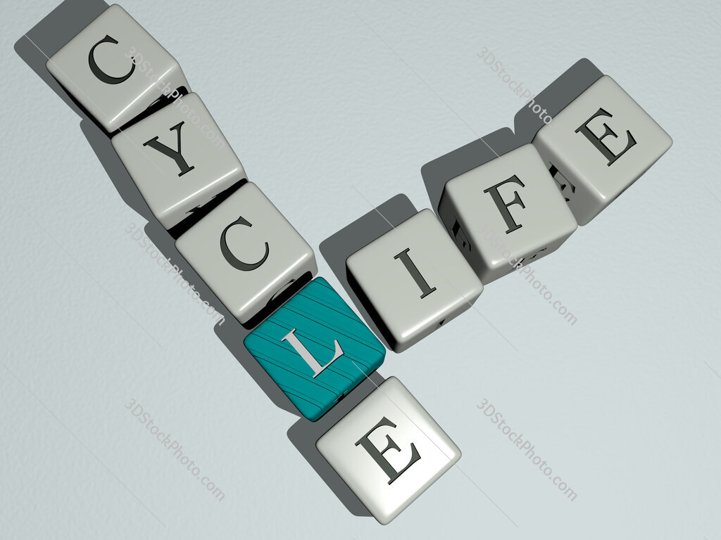 life cycle crossword by cubic dice letters