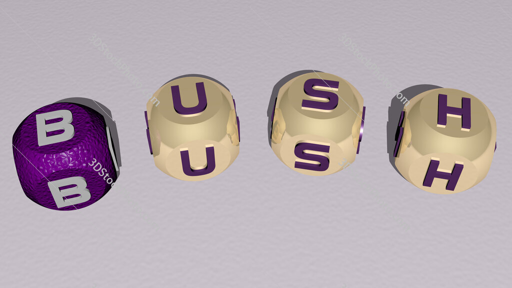 bush curved text of cubic dice letters