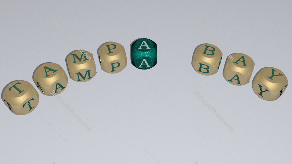 tampa bay text of dice letters with curvature