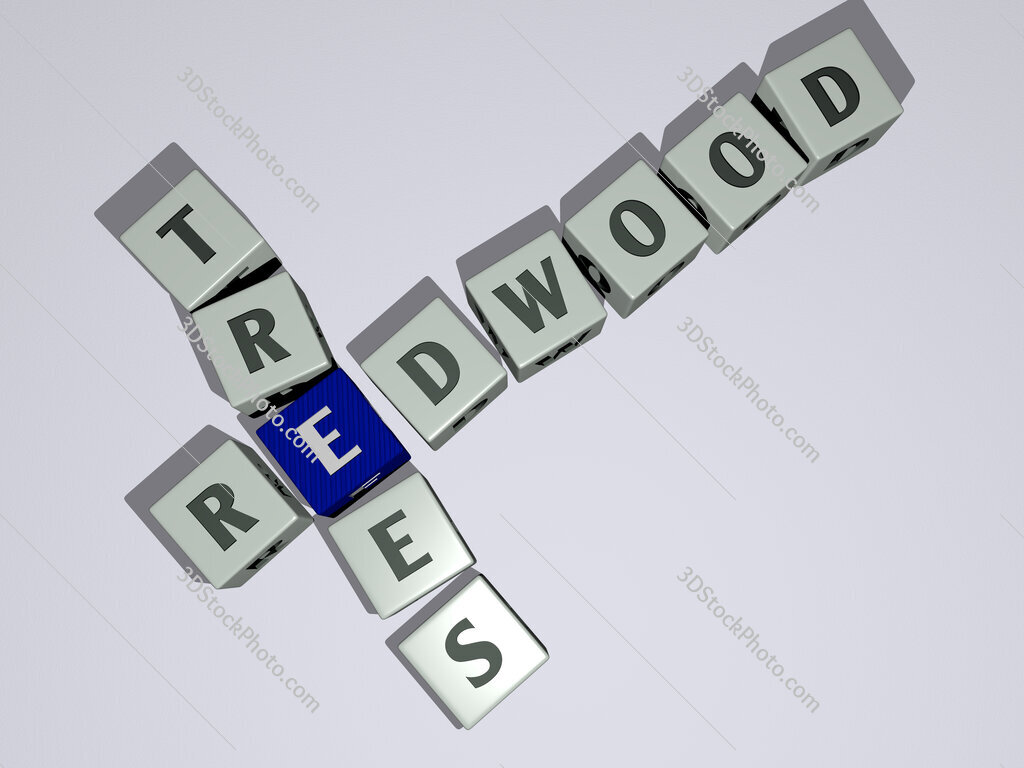 redwood trees crossword by cubic dice letters