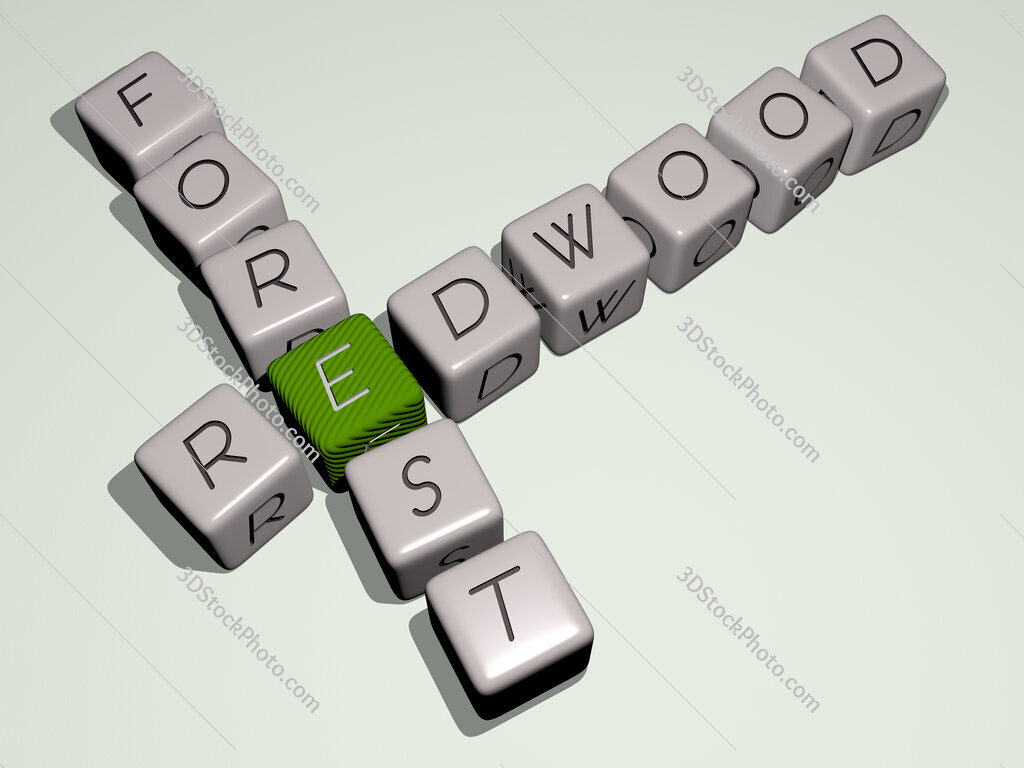 redwood forest crossword by cubic dice letters