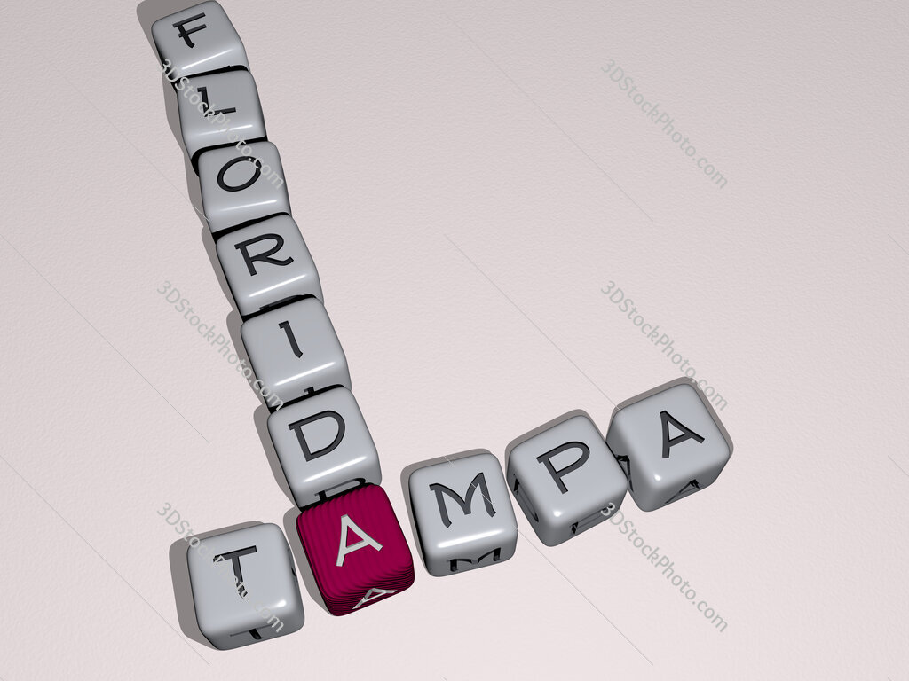tampa florida crossword by cubic dice letters