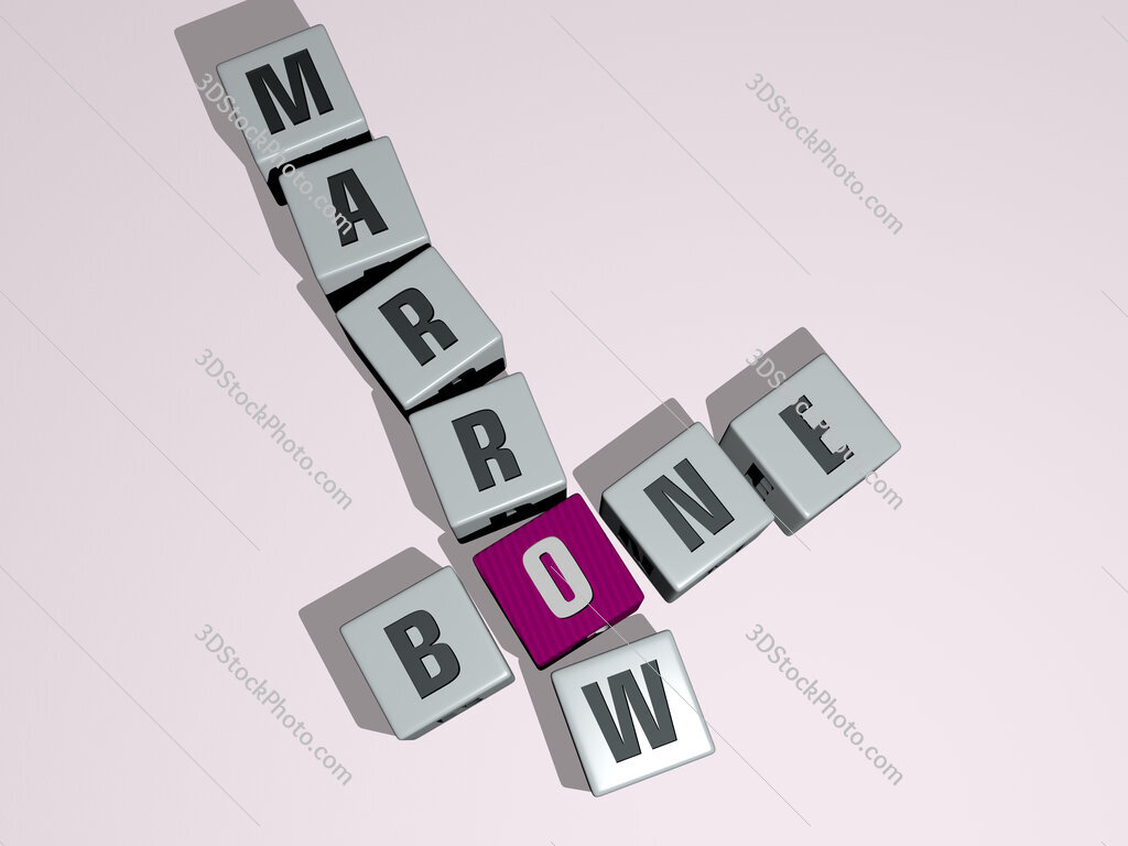 bone marrow crossword by cubic dice letters