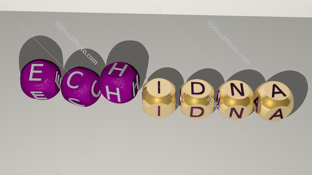 echidna dancing cubic letters