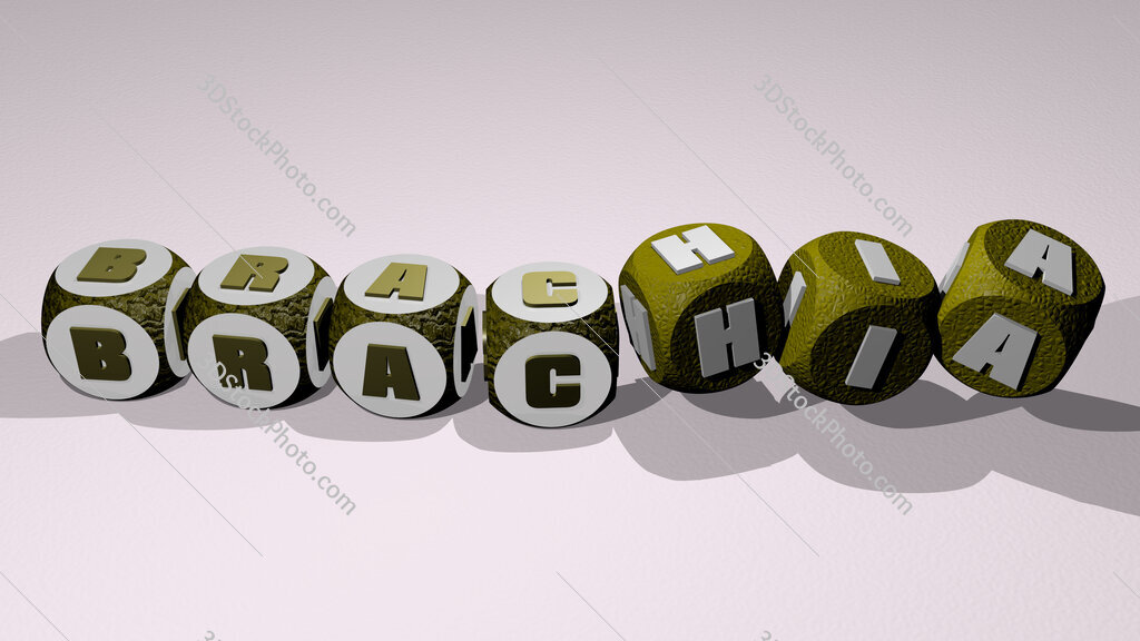 brachia text by dancing dice letters