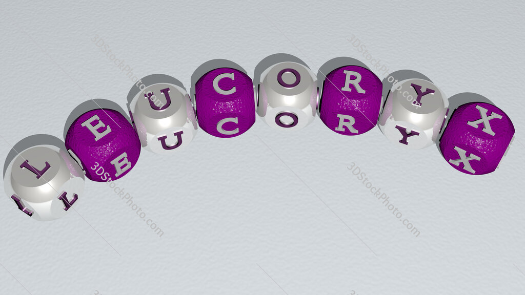 leucoryx curved text of cubic dice letters