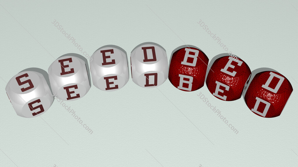 seedbed curved text of cubic dice letters