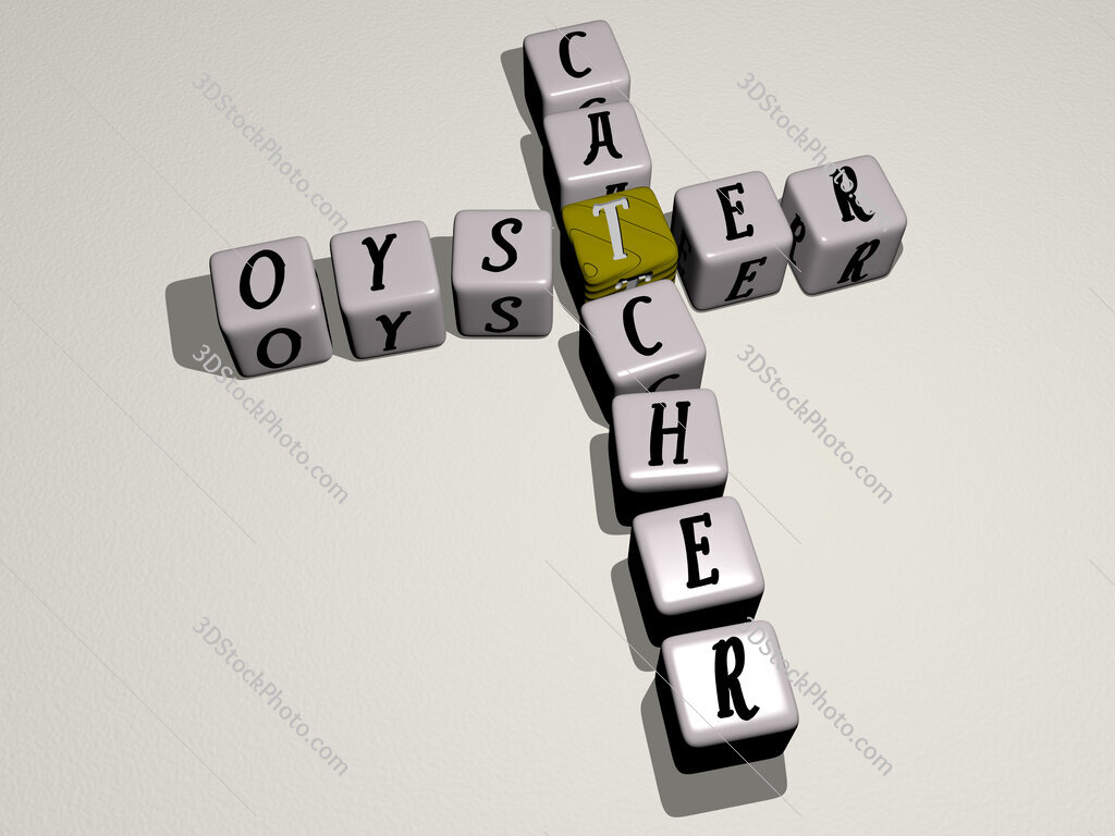 Oyster Catcher crossword by cubic dice letters