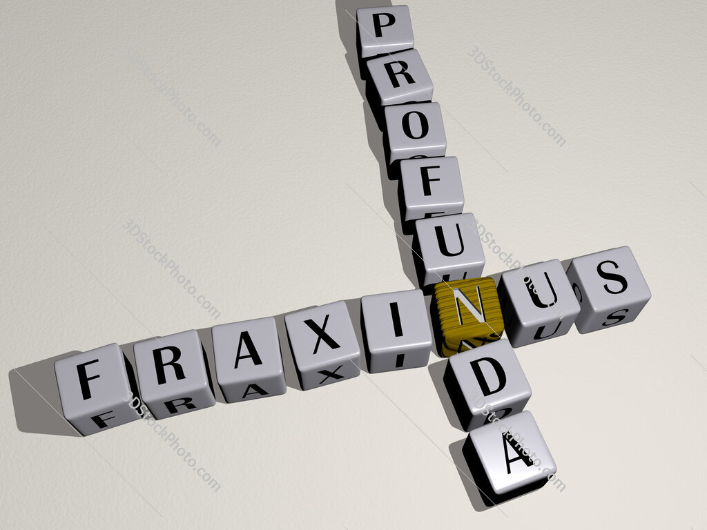 Fraxinus profunda crossword by cubic dice letters