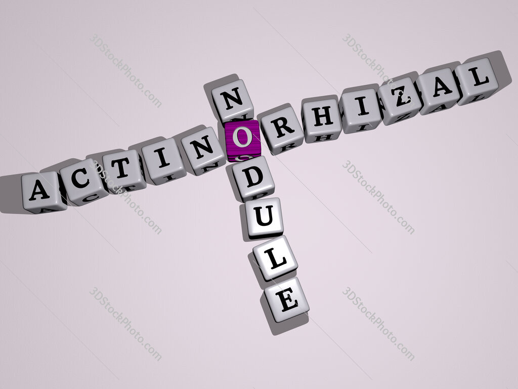Actinorhizal nodule crossword by cubic dice letters