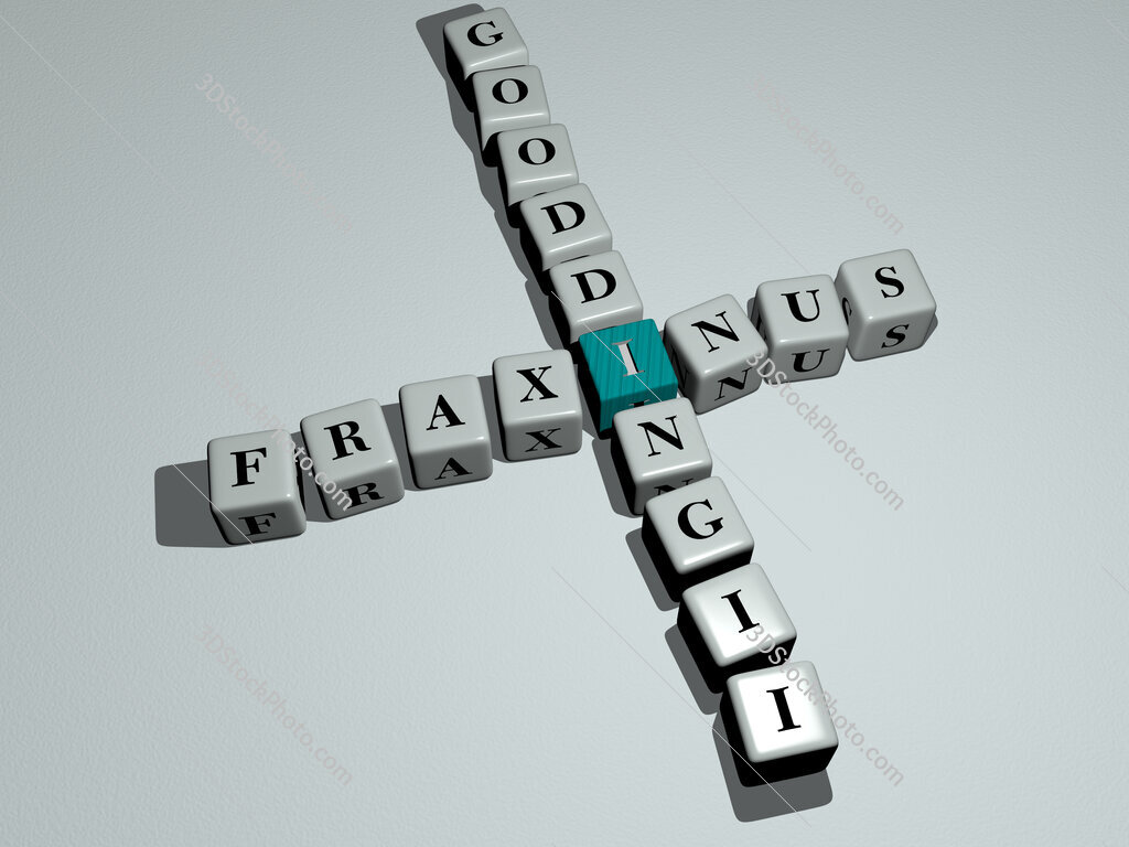 Fraxinus gooddingii crossword by cubic dice letters