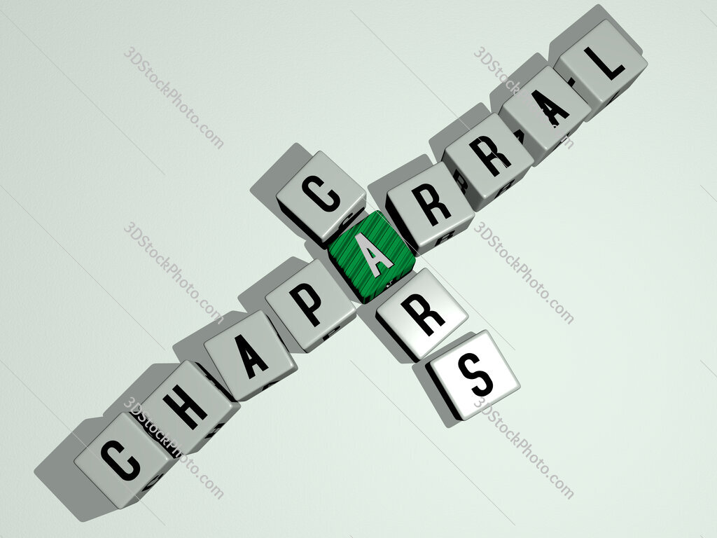 Chaparral Cars crossword by cubic dice letters