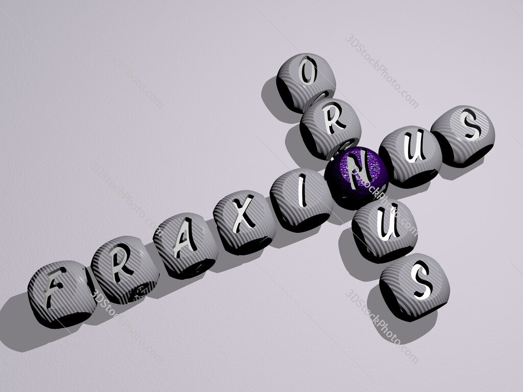 Fraxinus ornus crossword of dice letters in color