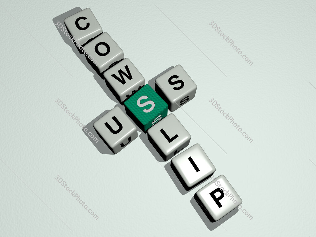 USS Cowslip crossword by cubic dice letters