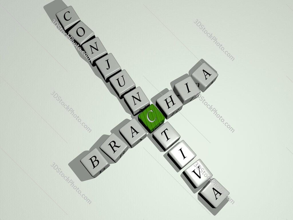 Brachia conjunctiva crossword by cubic dice letters