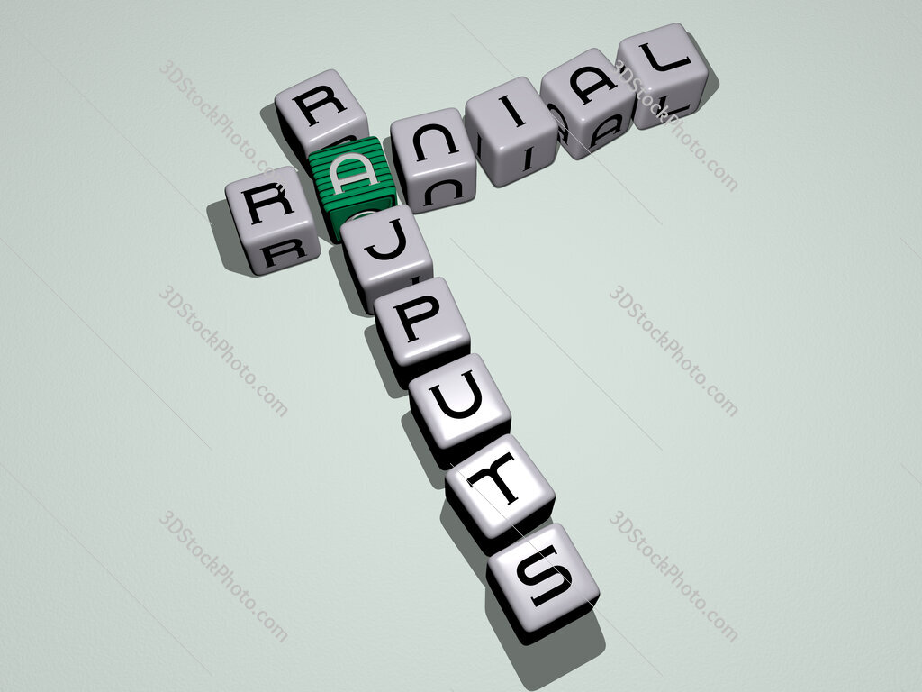 Ranial Rajputs crossword by cubic dice letters