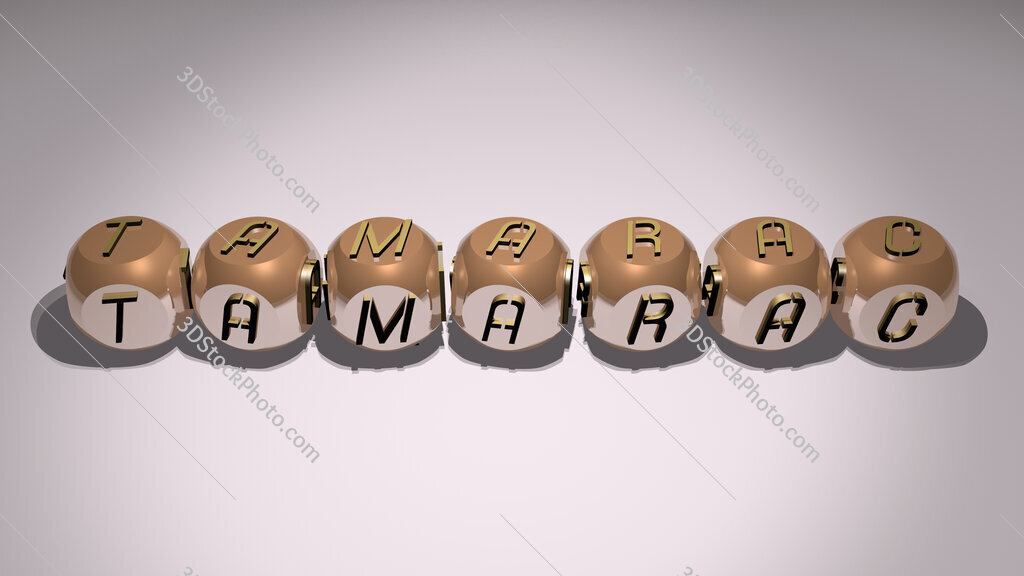Tamarac text of cubic individual letters