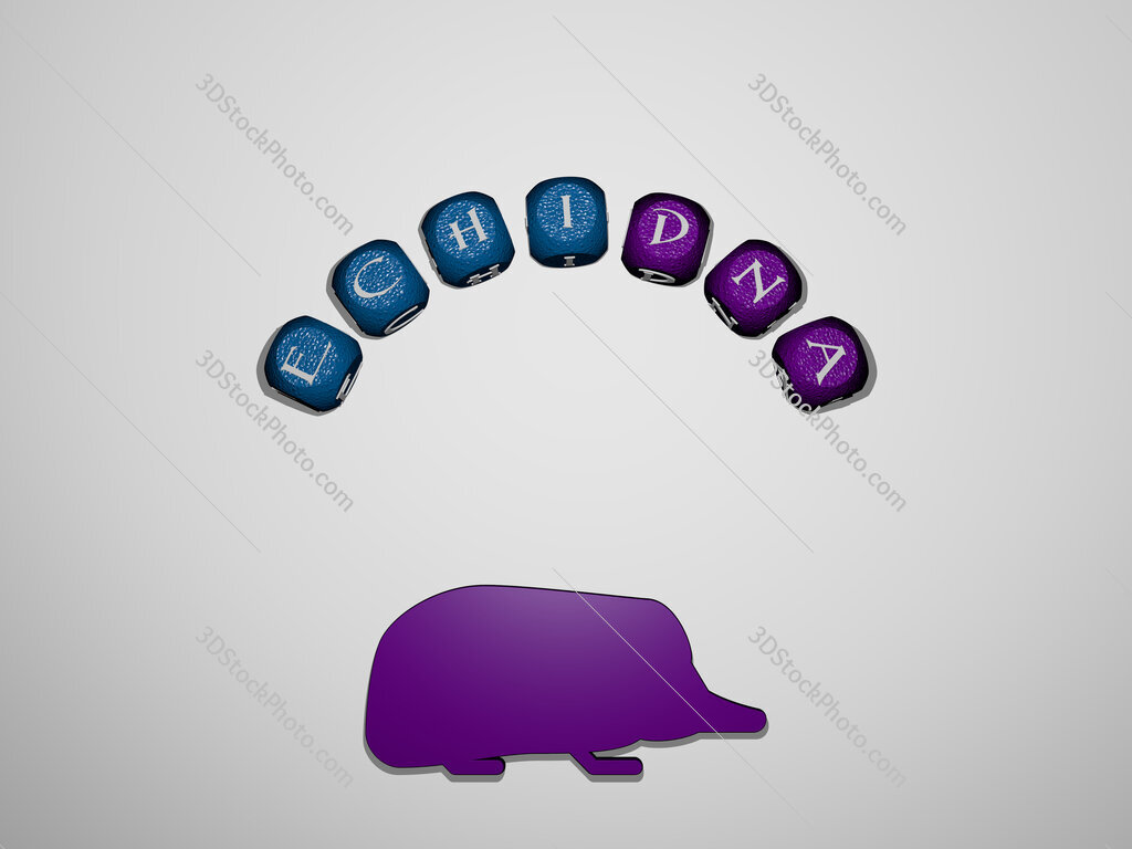 echidna icon surrounded by the text of individual letters