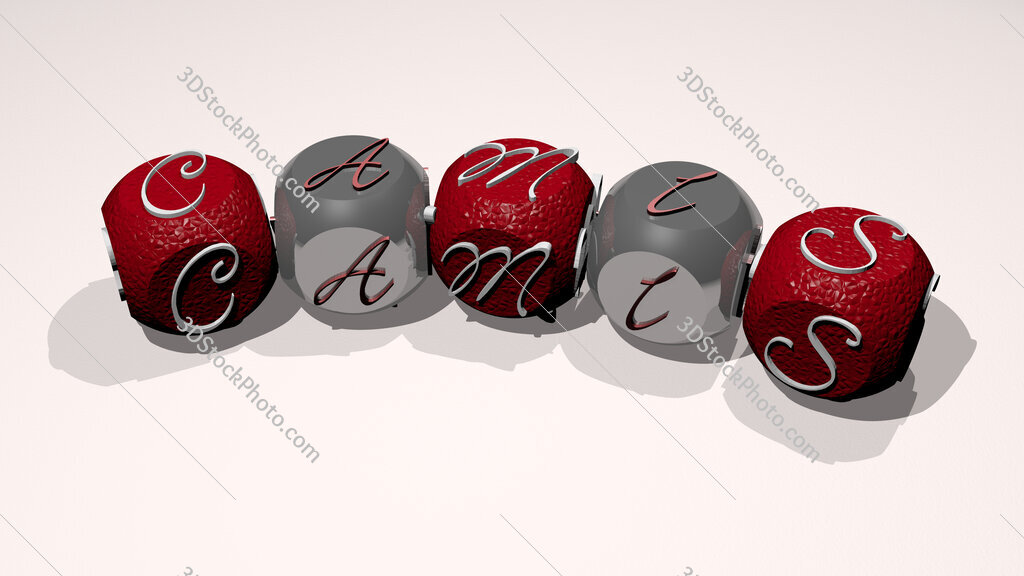 Camis text of dice letters with curvature