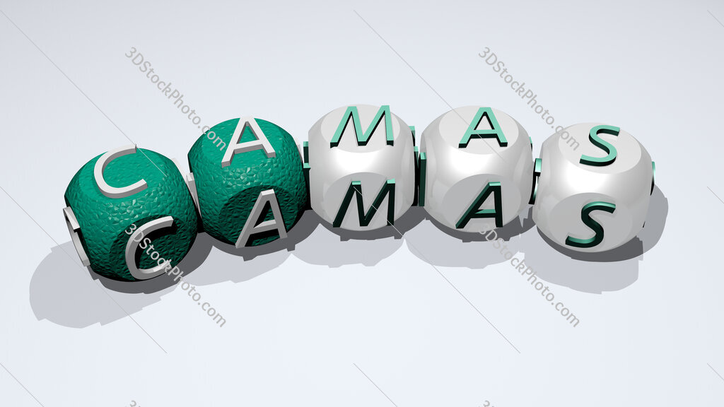 Camas text of dice letters with curvature
