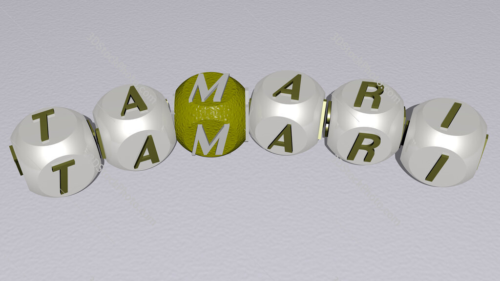 Tamari curved text of cubic dice letters