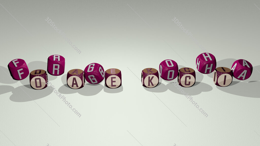 Forage Kochia text by dancing dice letters