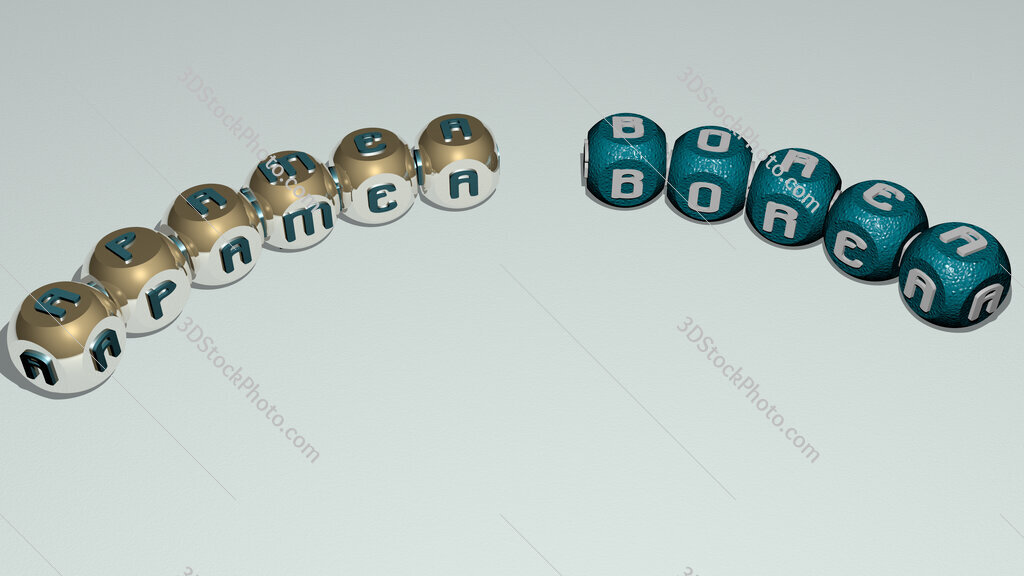 Apamea borea curved text of cubic dice letters