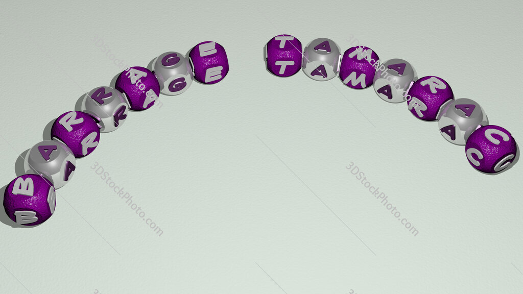 Barrage Tamarac curved text of cubic dice letters
