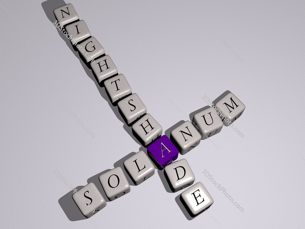 solanum nightshade crossword by cubic dice letters