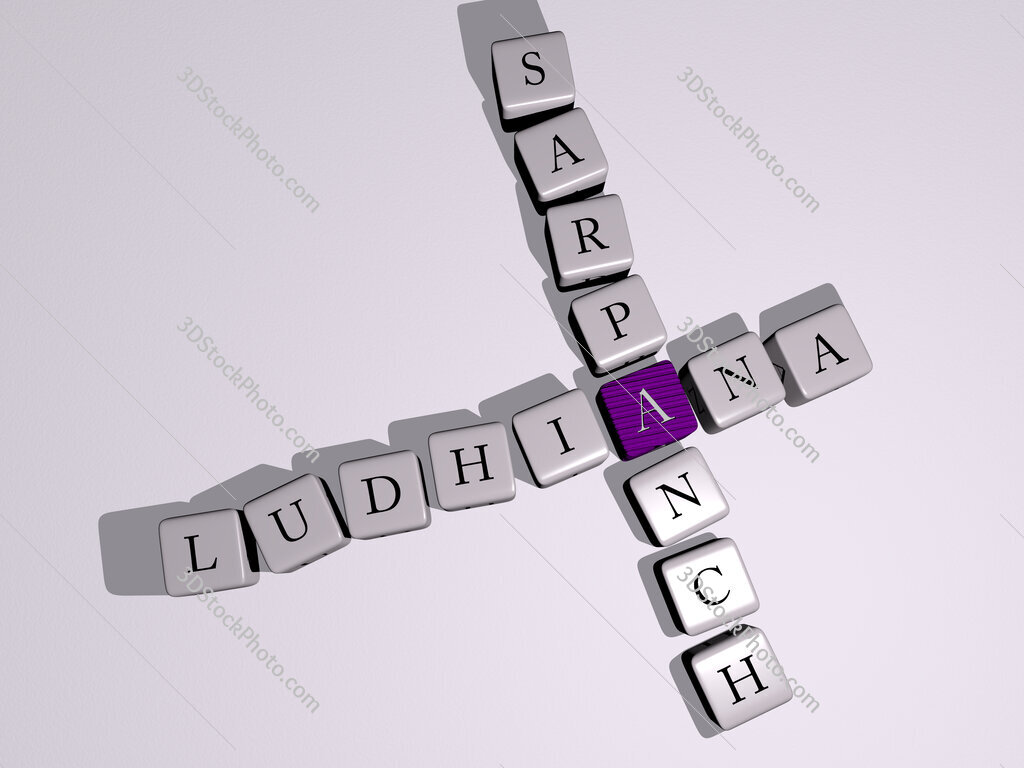 ludhiana sarpanch crossword by cubic dice letters