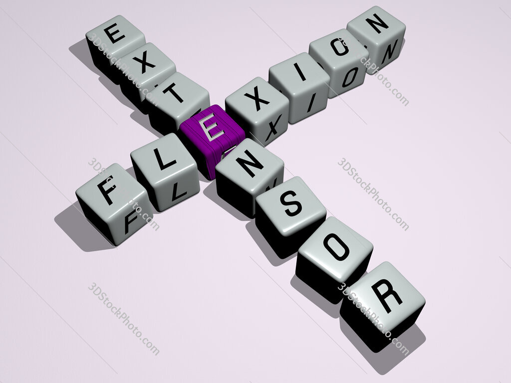flexion extensor crossword by cubic dice letters