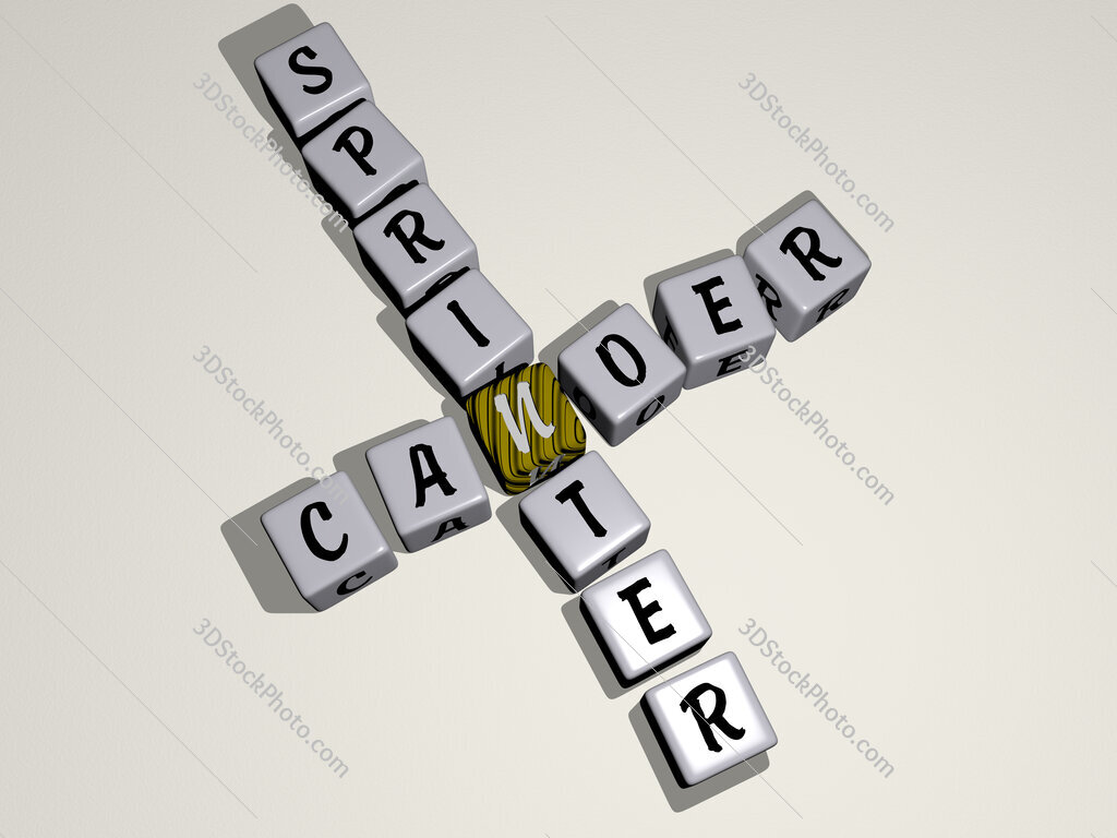 canoer sprinter crossword by cubic dice letters